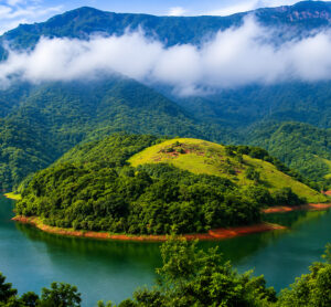 Kerala Packages