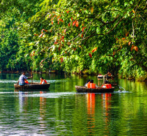 Kerala Packages