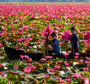 Kerala Packages
