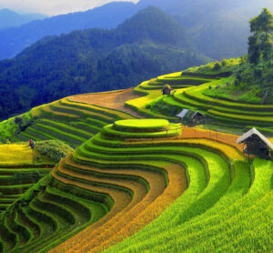 HANOI – HALONG