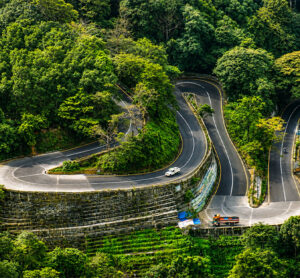 Wayanadu tour packages
